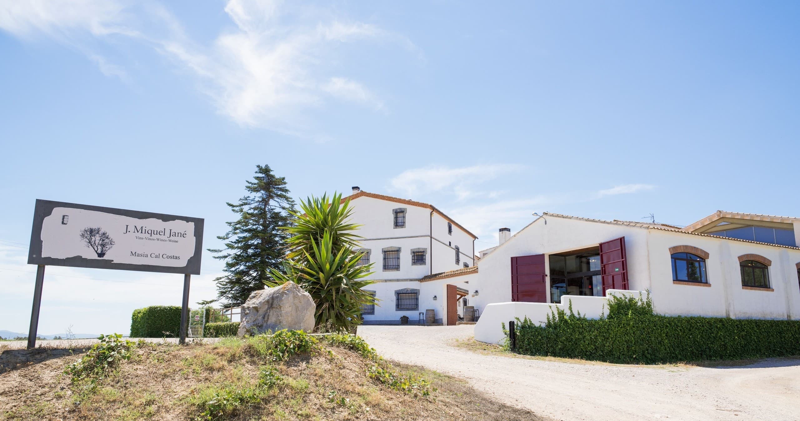 Visita a Bodega con Cata de Vinos