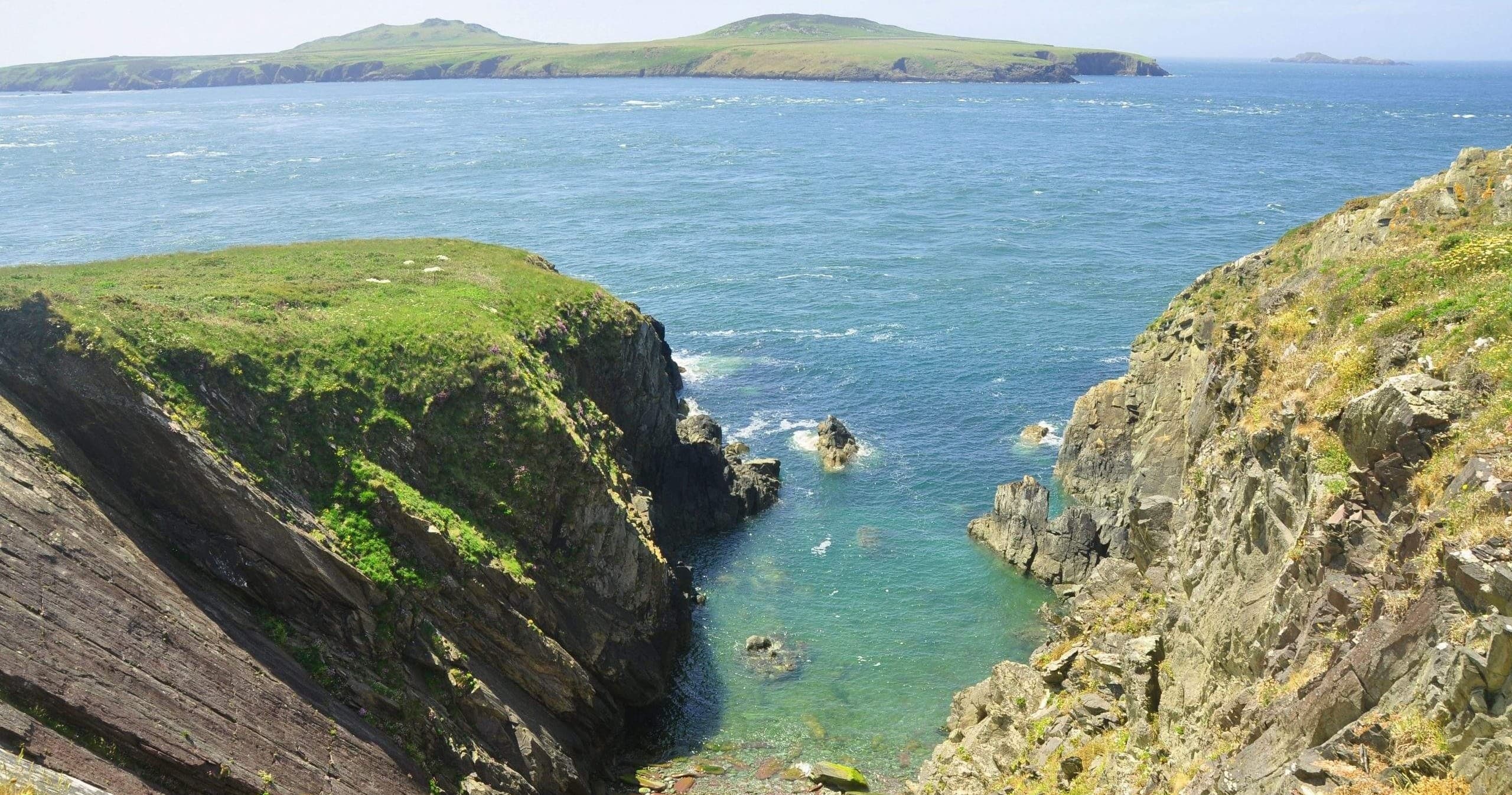 Ramsey Island Experience