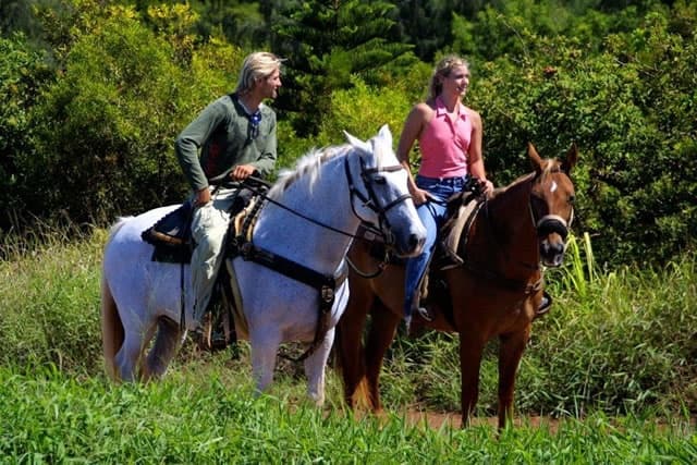 Morning Horseback Excursions
