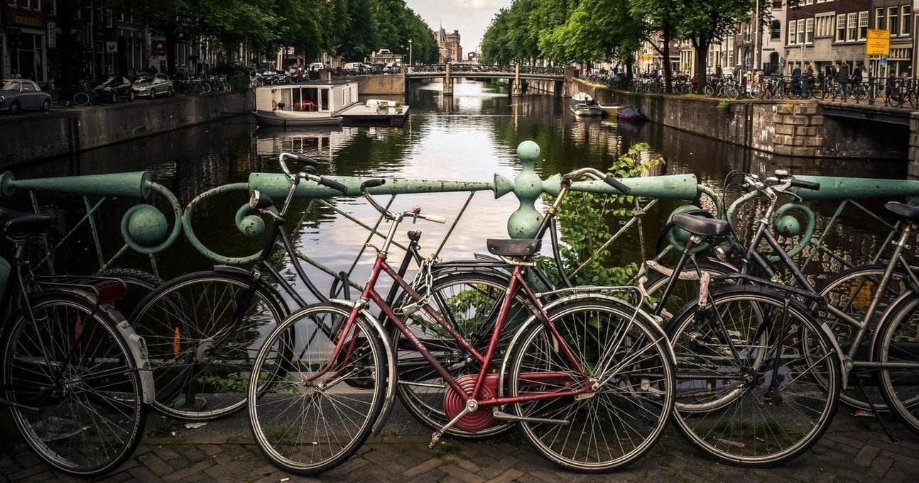 Authentic Amsterdam Private Tour: Jordaan - Anne Frank and Vondelpark