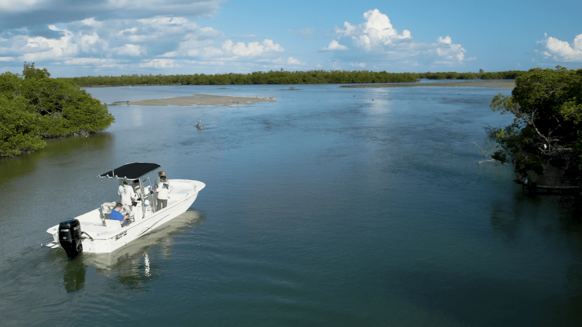 Private Marco Island / 10,000 Islands Sightseeing & Dolphin Tour