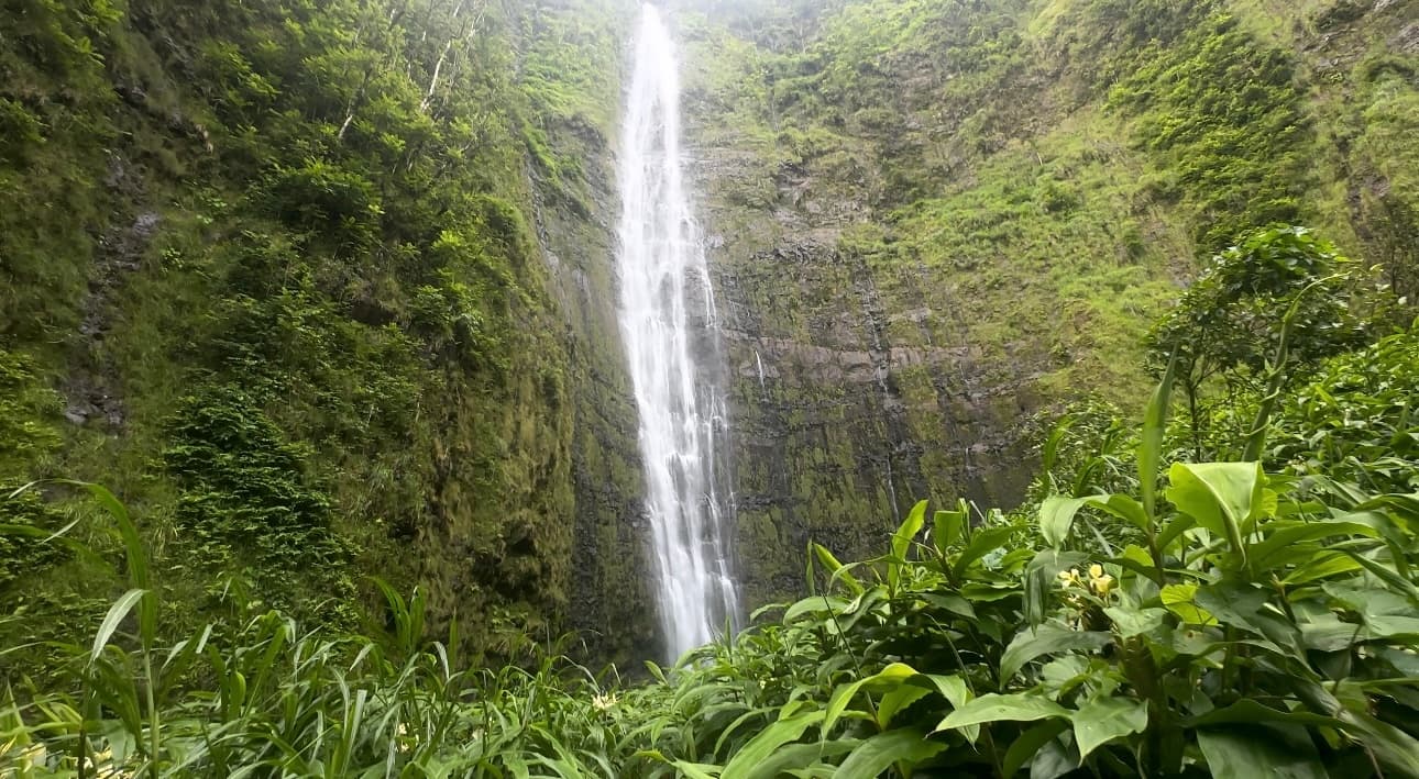 Private Pipiwai Trail Maui Open-Air Jeep Tour