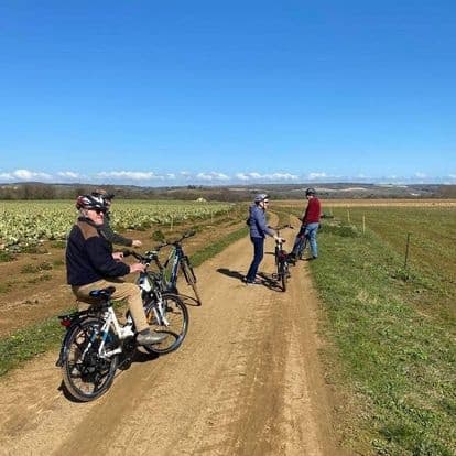 7 days bike rental