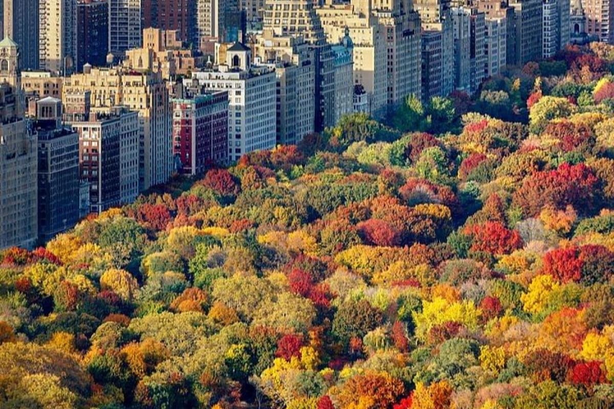 Private Fall Foliage Charter from Manhattan