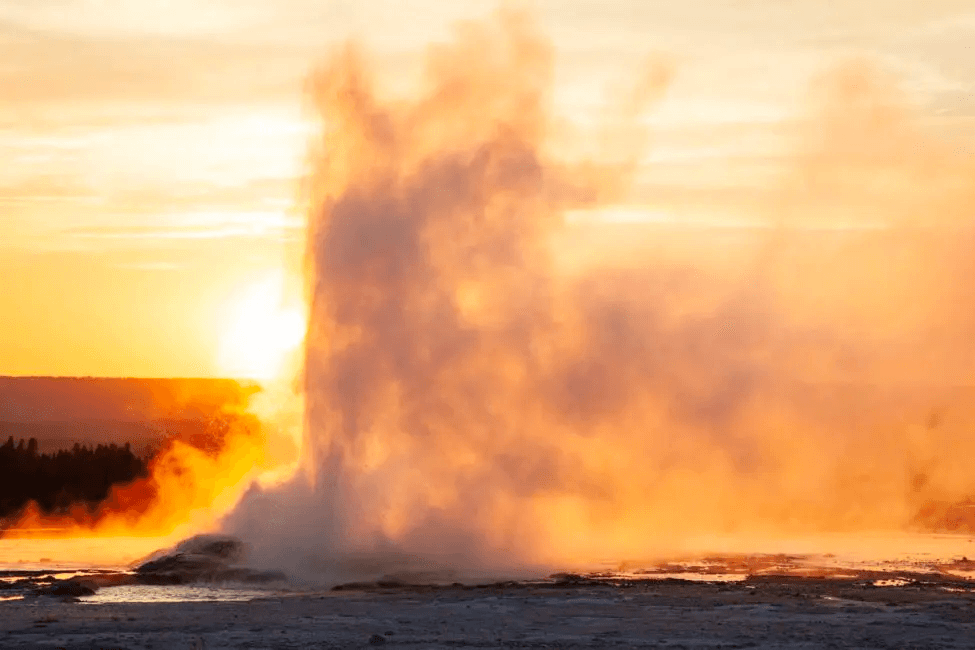 Best of Yellowstone | East - Private Tour