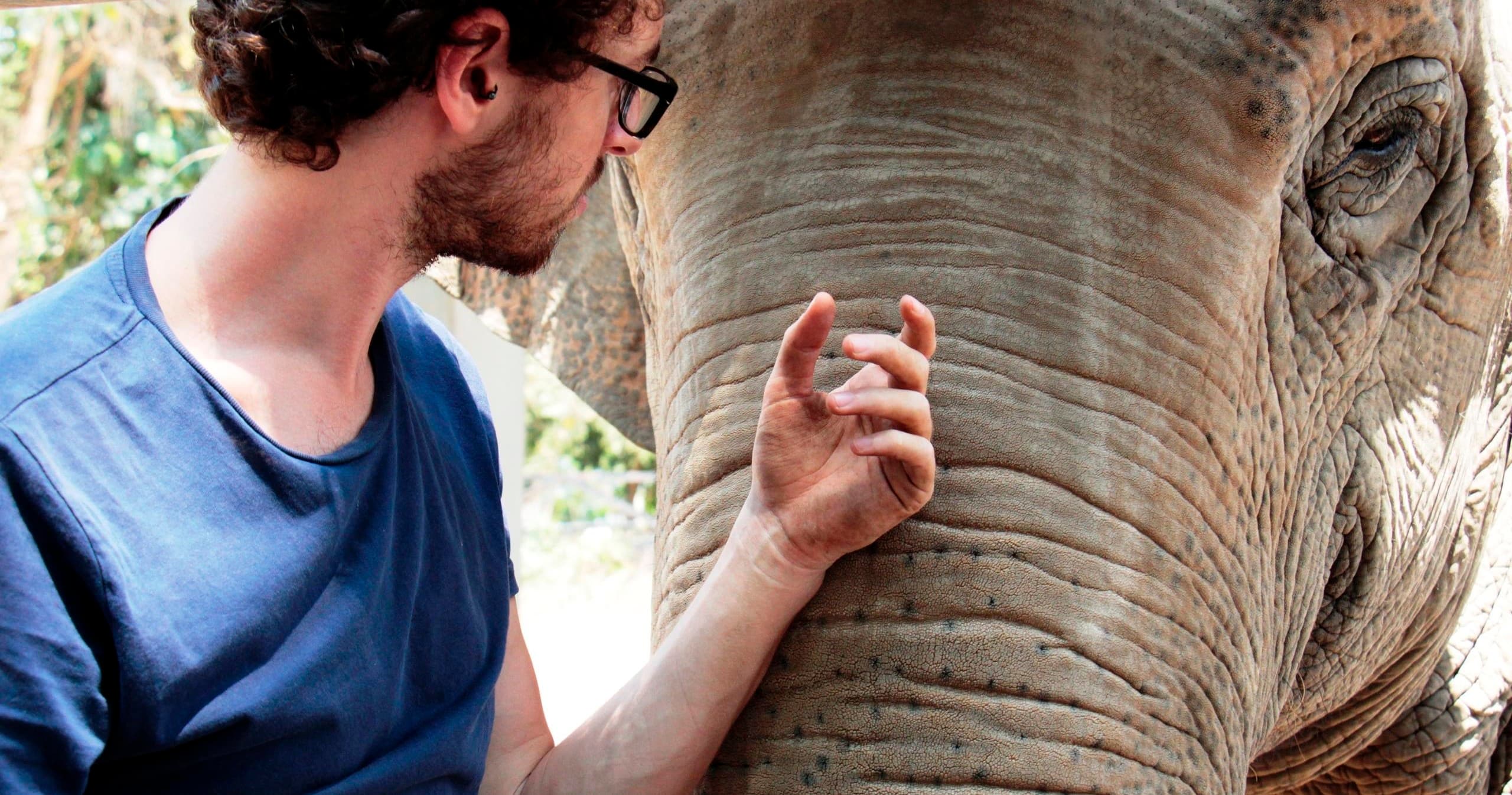 Phnom Tamao Wildlife Rescue Centre Behind the Scenes Tour
