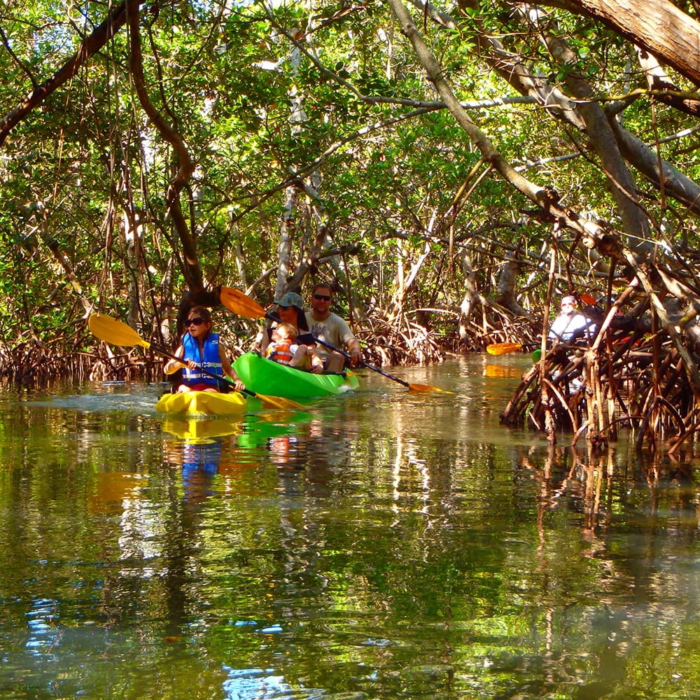 Lido Key Rentals