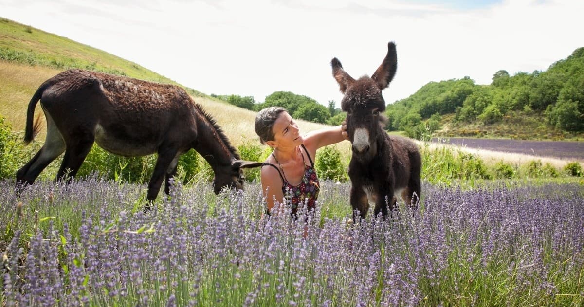 Donkeys & Eco-Farm Experience