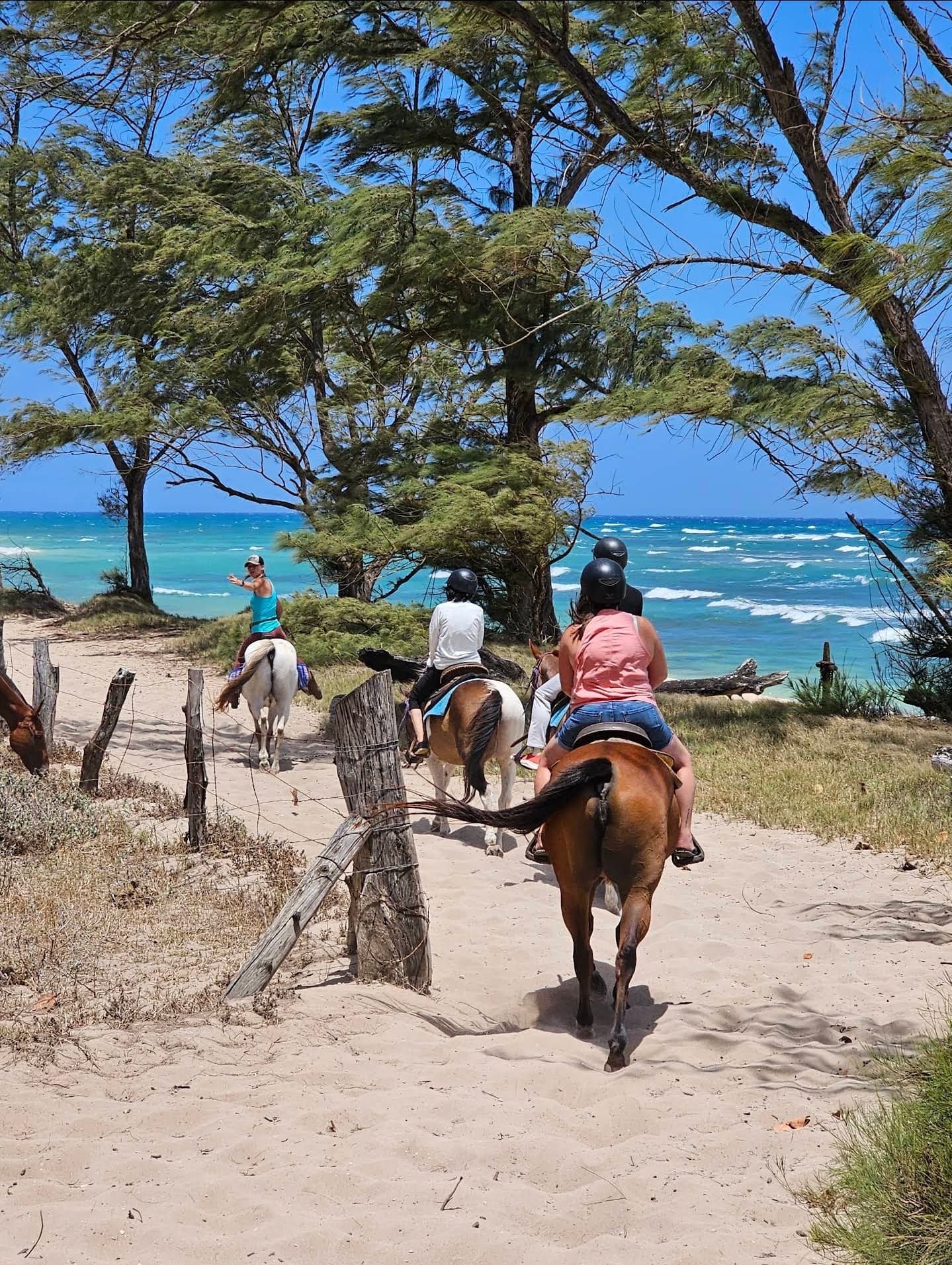 Sunshine Horseback Ride