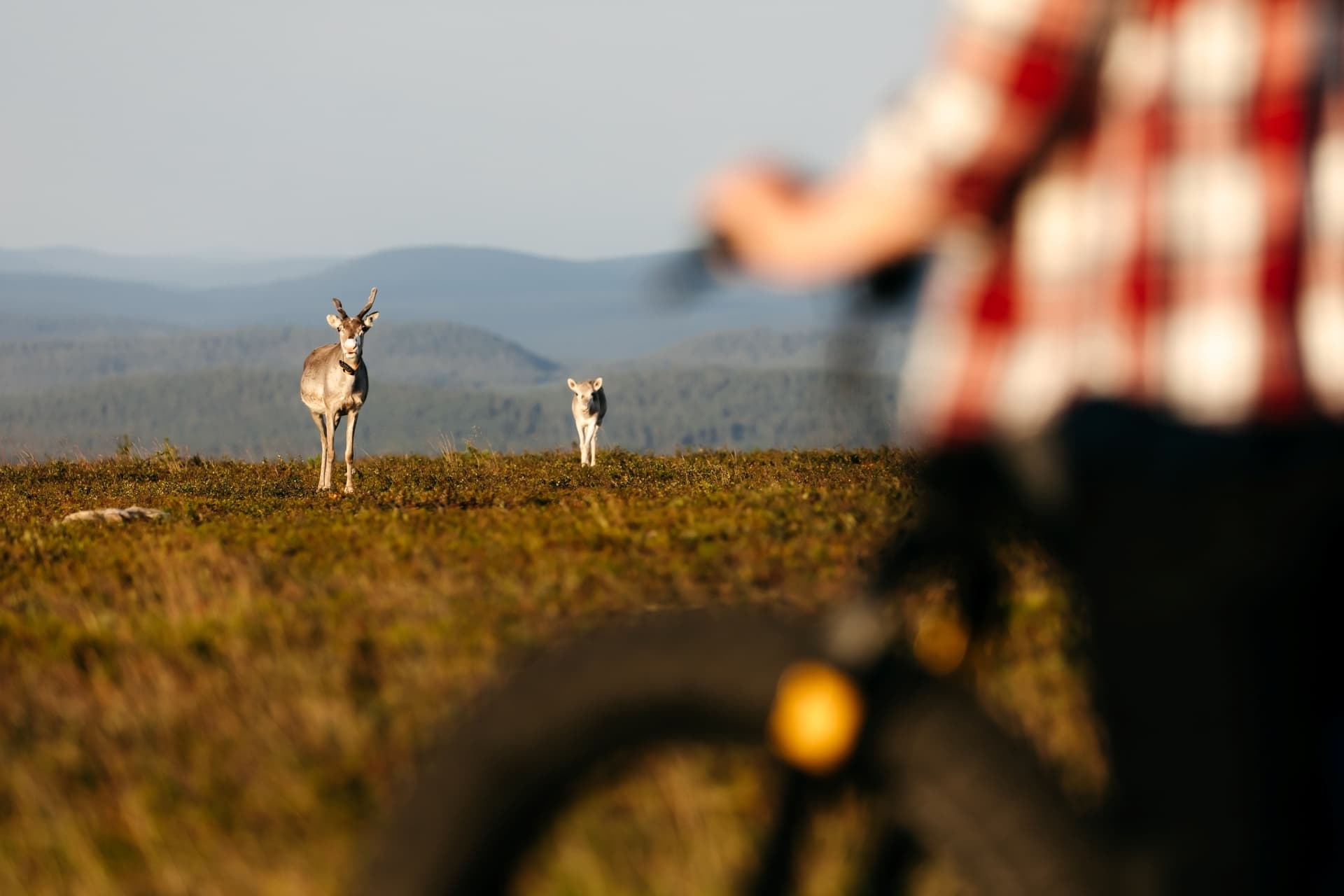 E-Fat Bike Tour (Long)