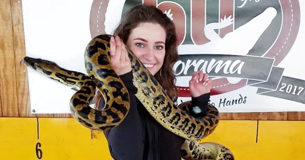 Python Encounter