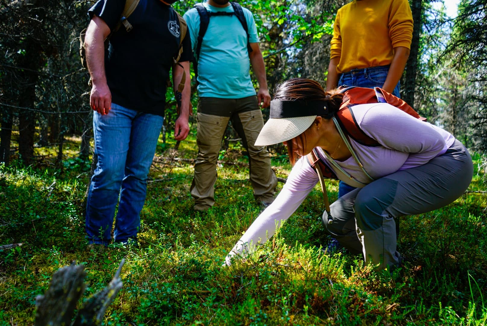 4 Hour Wilderness Wonders Tour