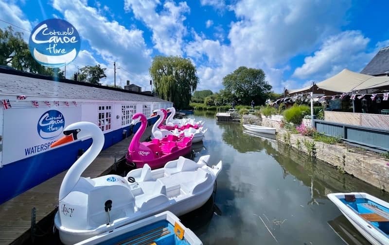 Swan & Flamingo Pedalo Hire