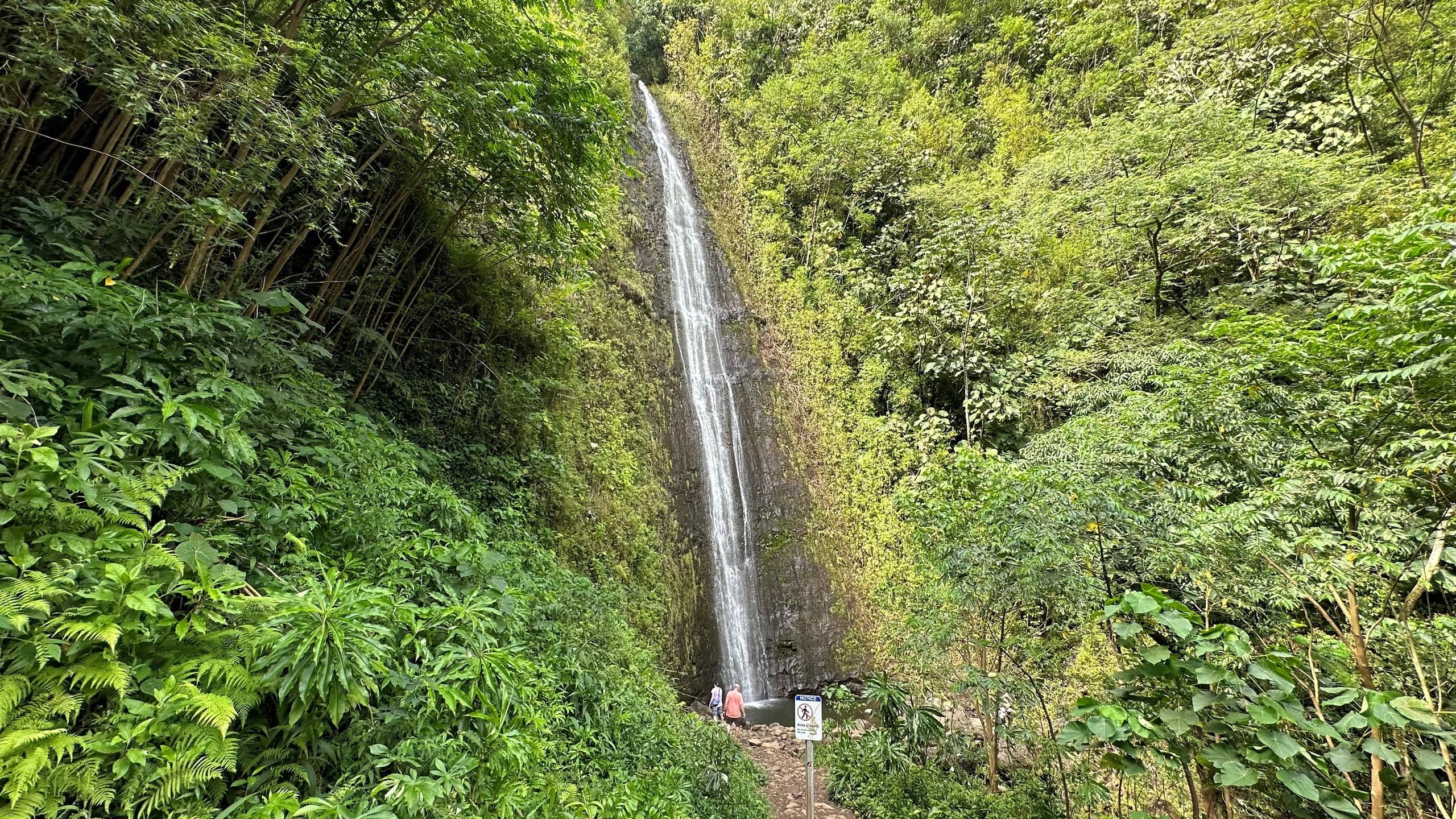 Manoa Falls Electric Bike to Hike