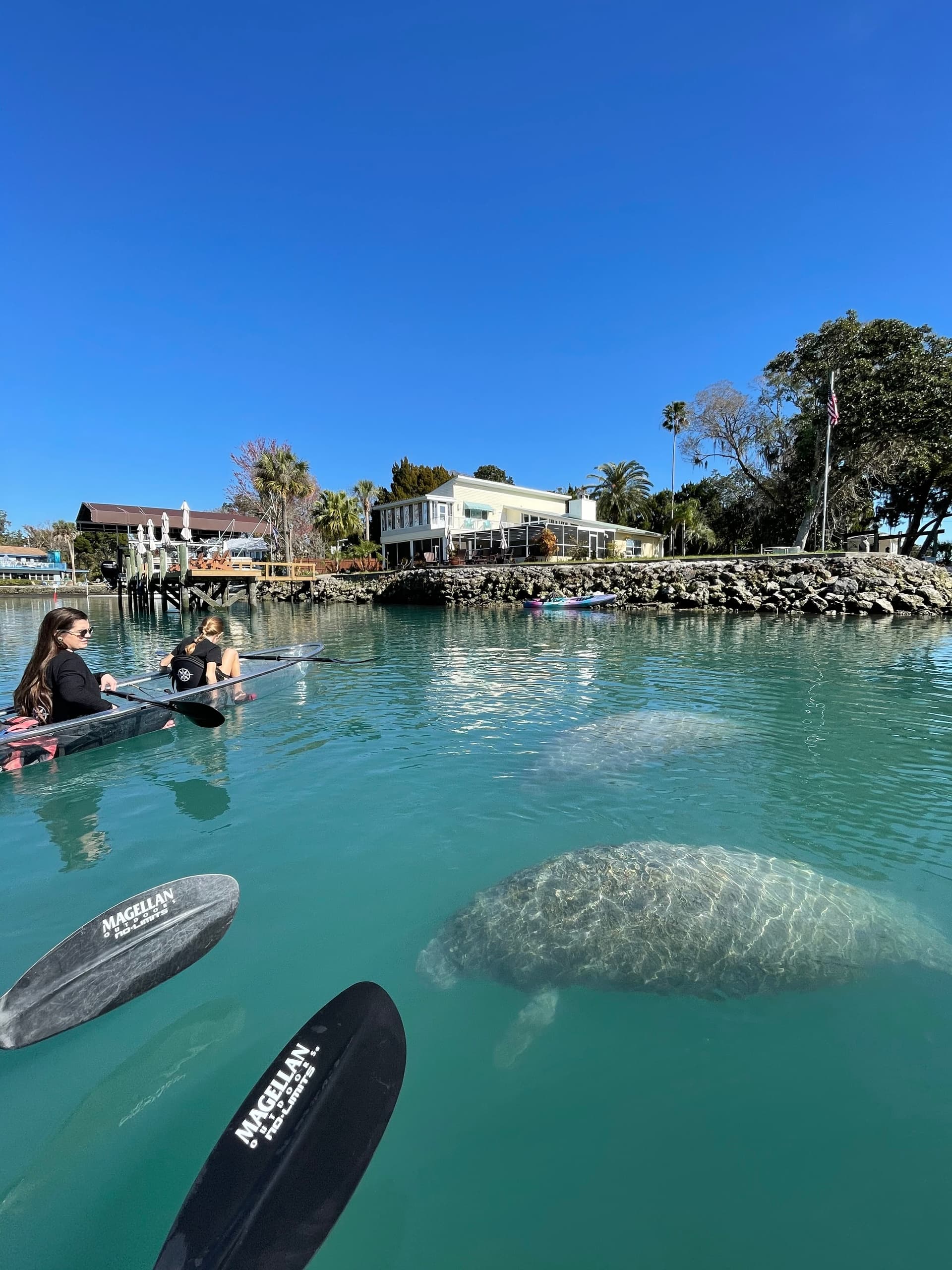 Private Manatee Season Clear Kayak Tour