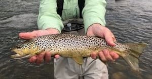 Local Waters Half Day Trip