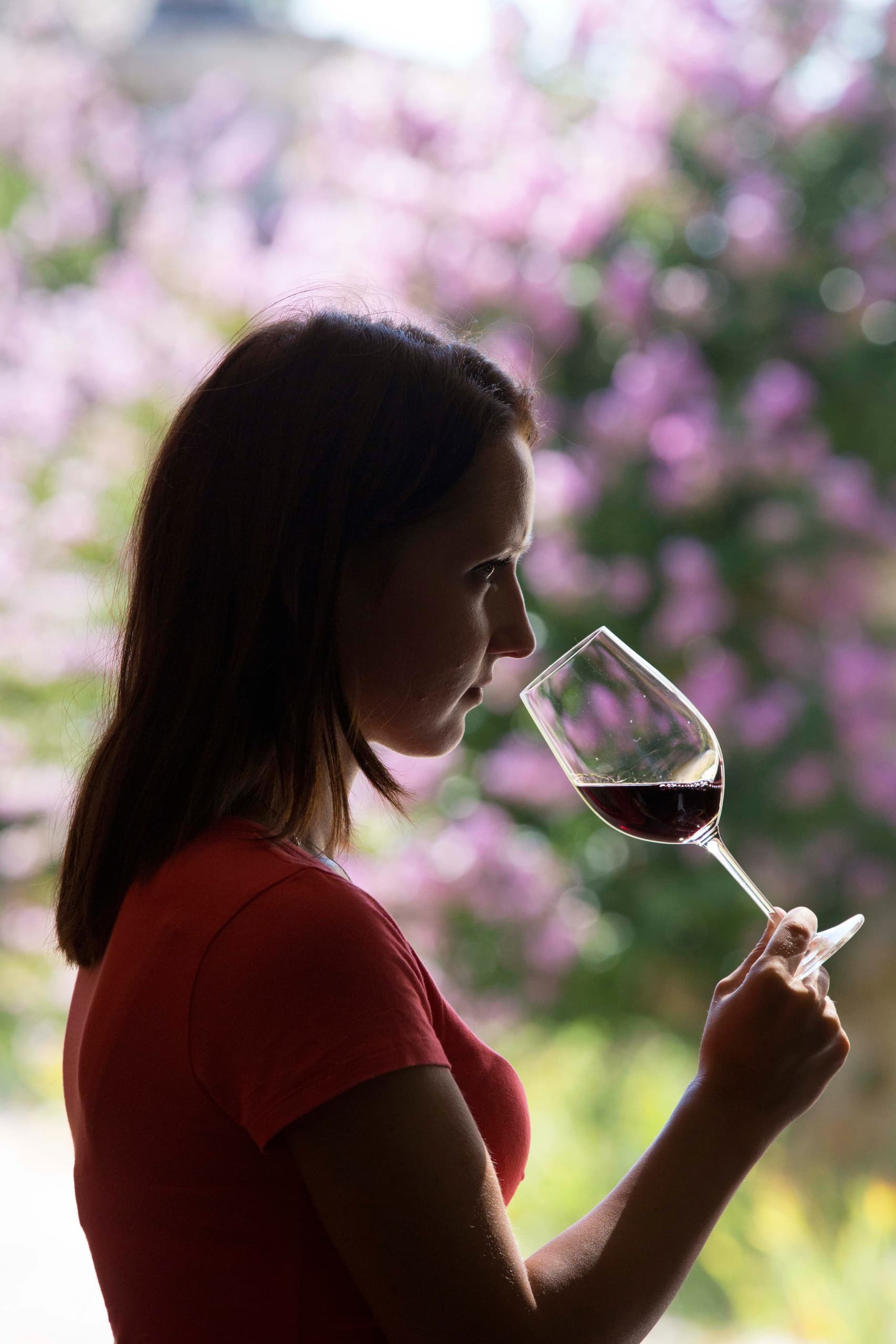 A la découverte des arômes du vin