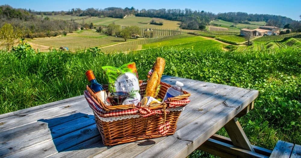 Winemaker's Picnic & Visit Experience