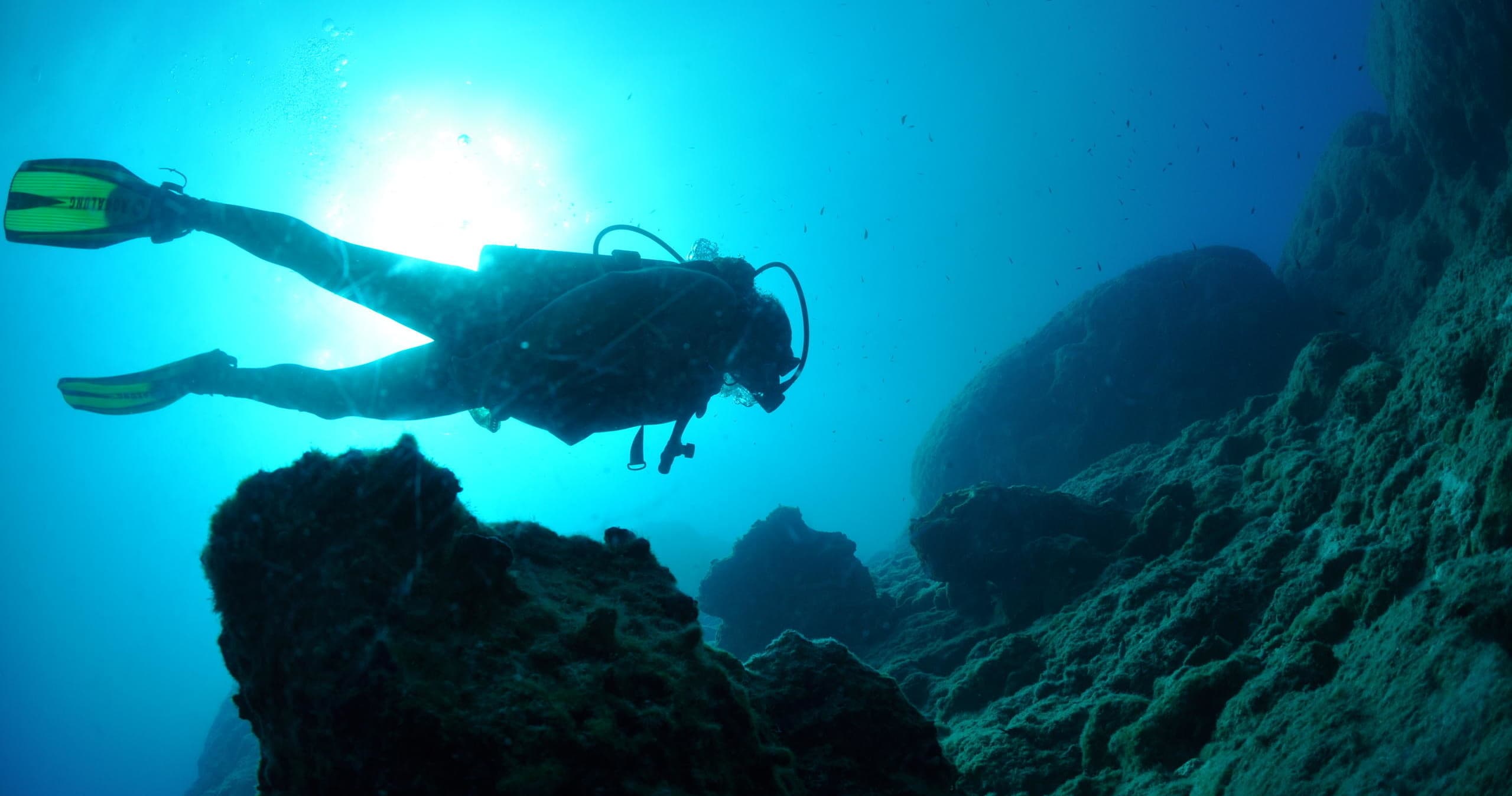 Three Days Diving