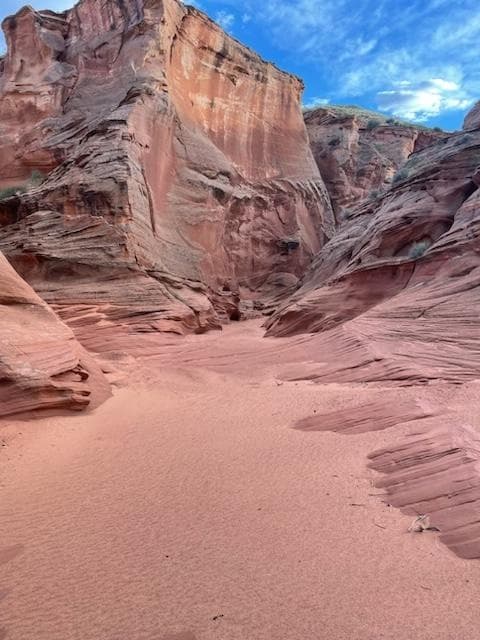 Sand Dune Canyon