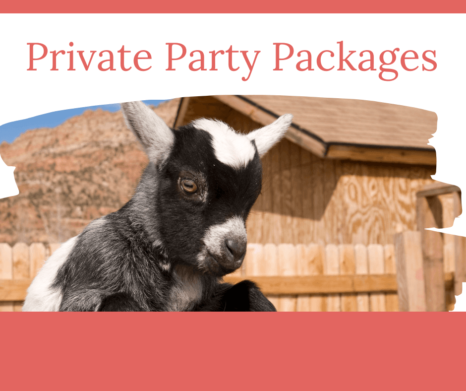 Goat Yoga Party Package