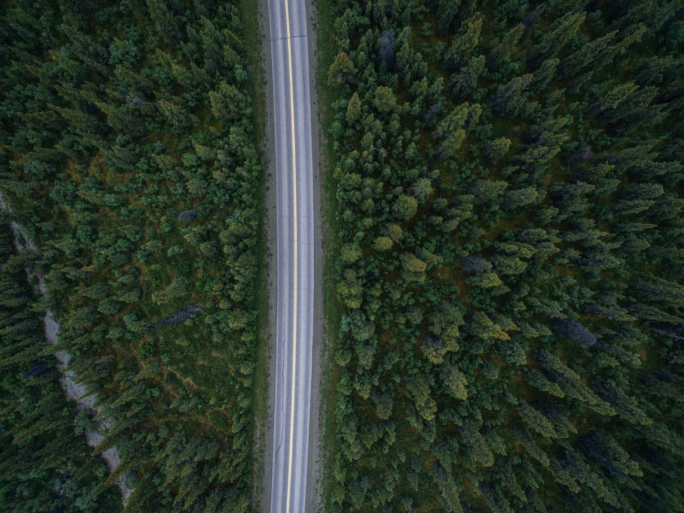 Custom Alaska Tour