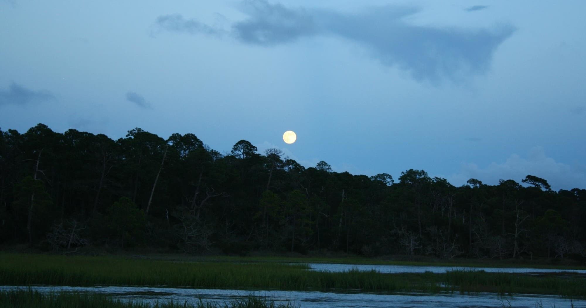 Moonlight Ride