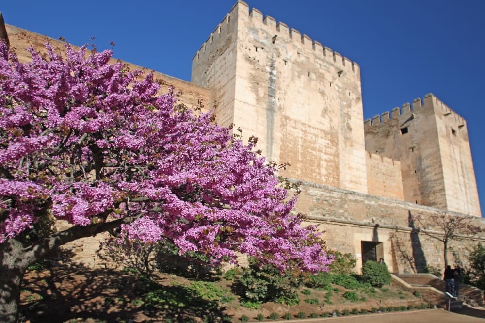 Alhambra: Jardines, Generalife y Alcazaba