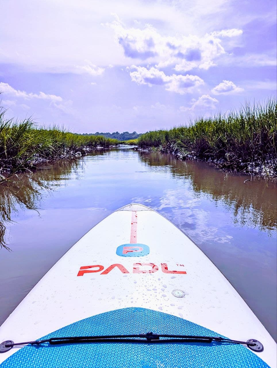 Salt Marsh Paddle