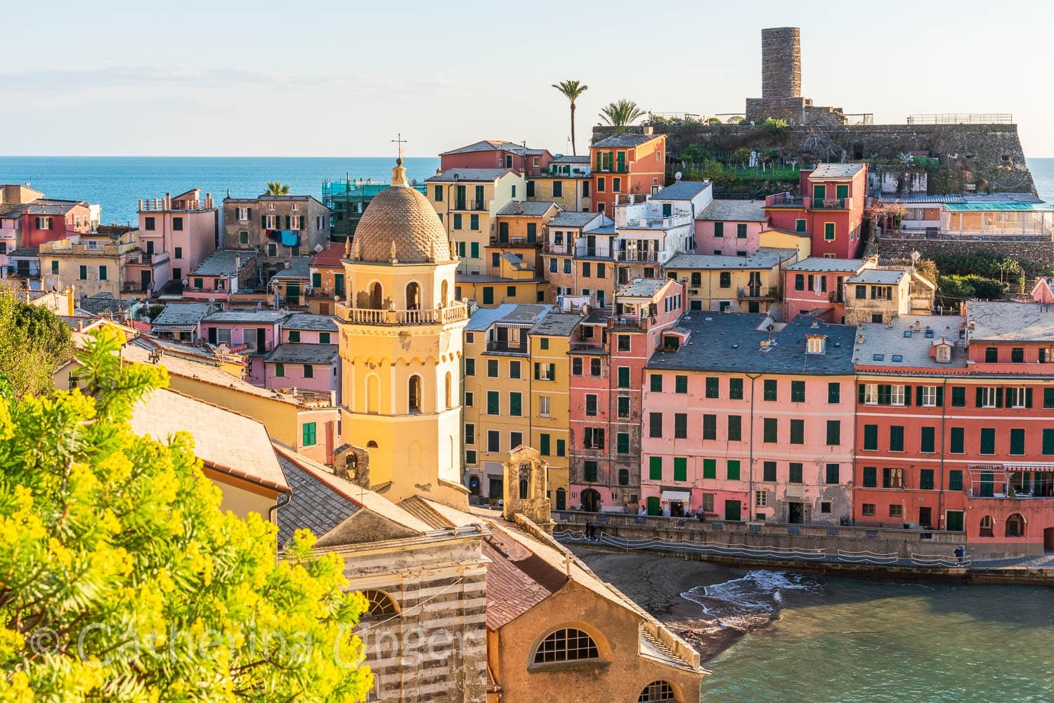 Vernazza wine journey: an exclusive producer’s tasting experience