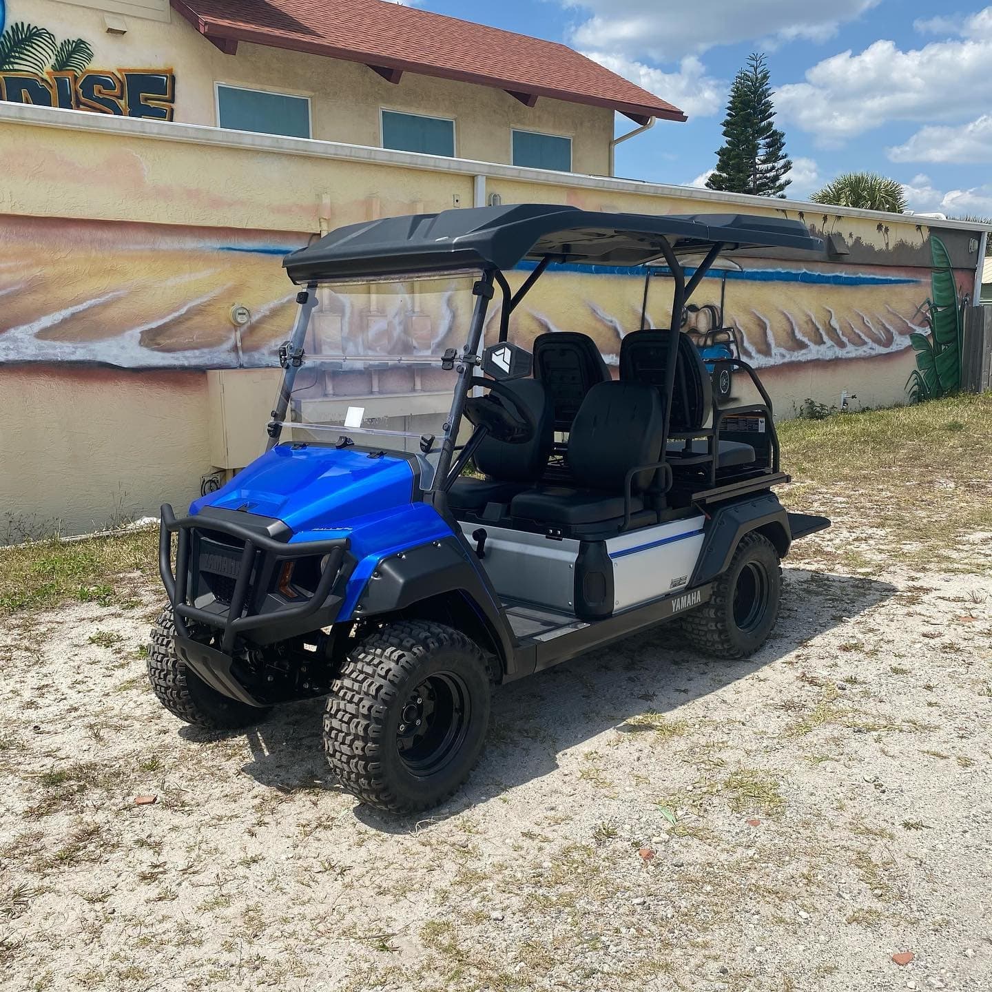 4 Passenger Golf Cart