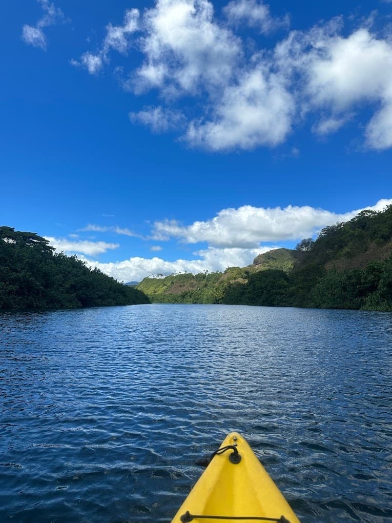Kayak Rentals