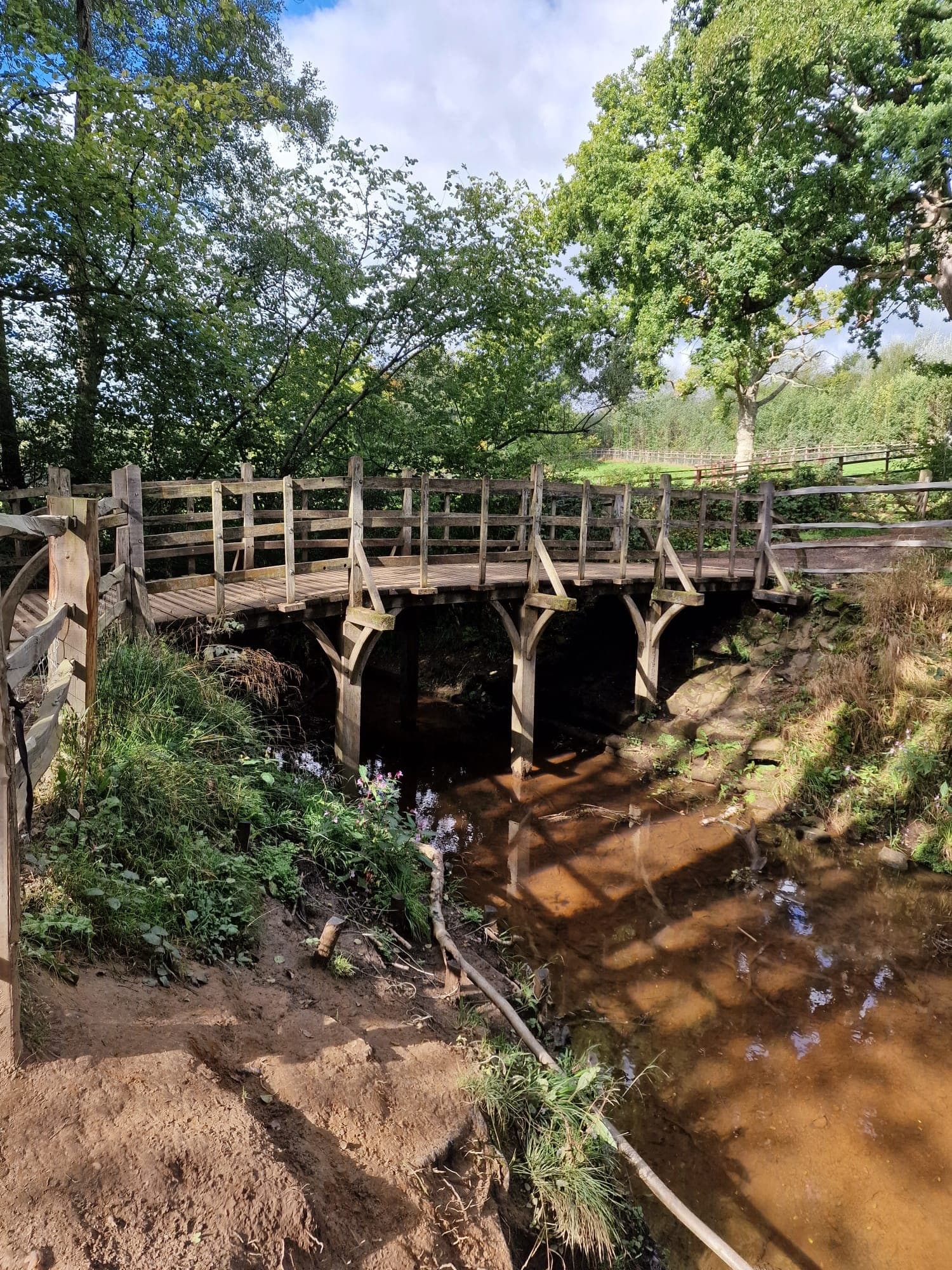From Brighton: Winnie The Pooh's Hundred Acre Wood
