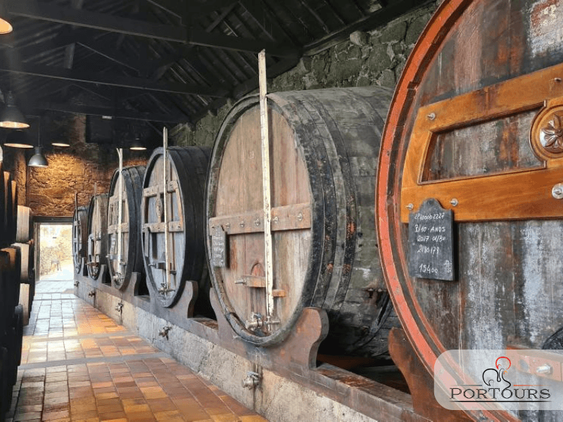 Cellars Tour