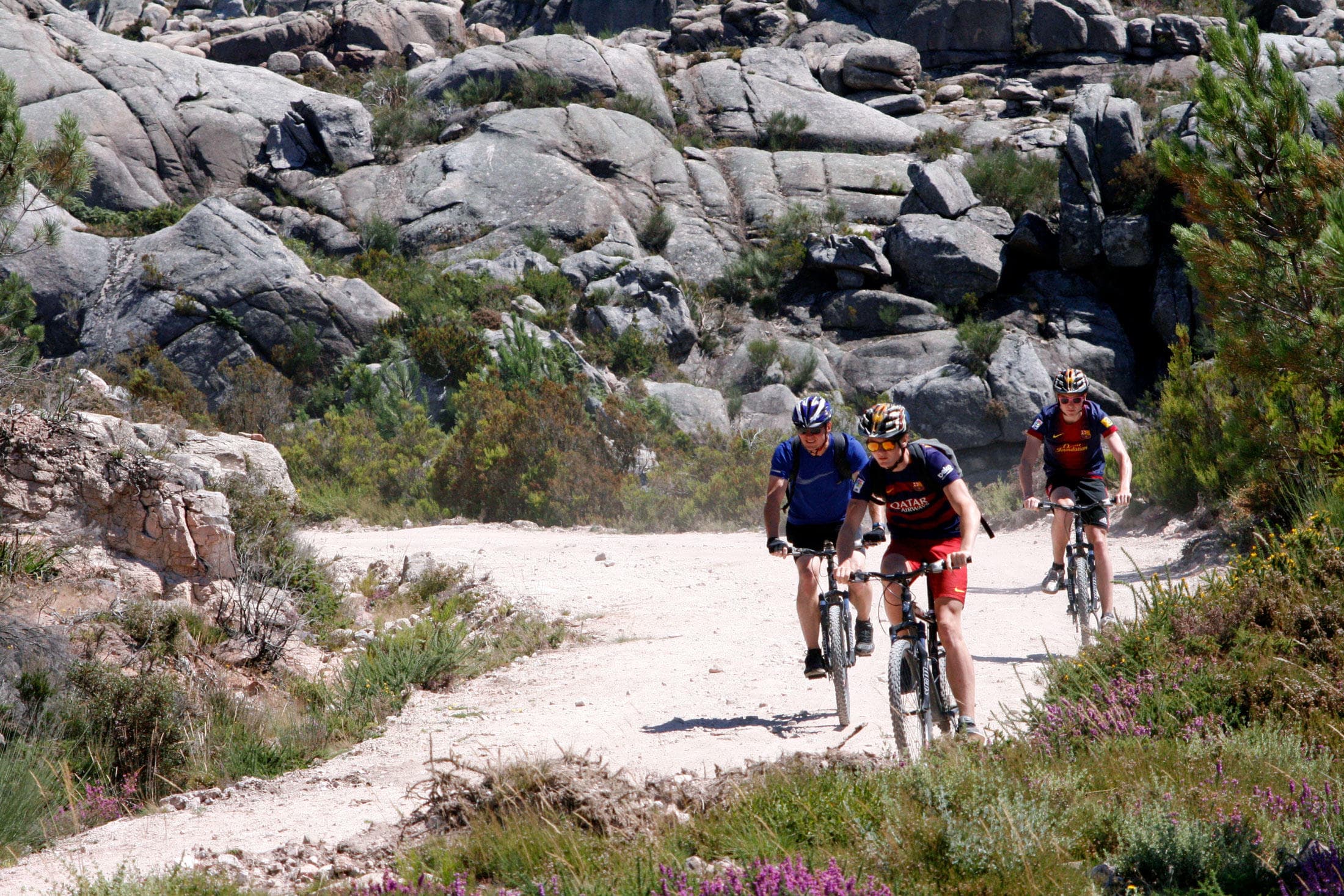 Guided Trails - Bike | Full Day