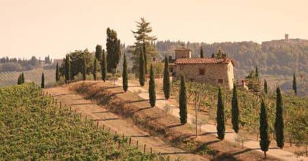CHIANTI WINE AREA, PISA AND SAN GIMIGNANO – Private Shore Excursion From La Spezia