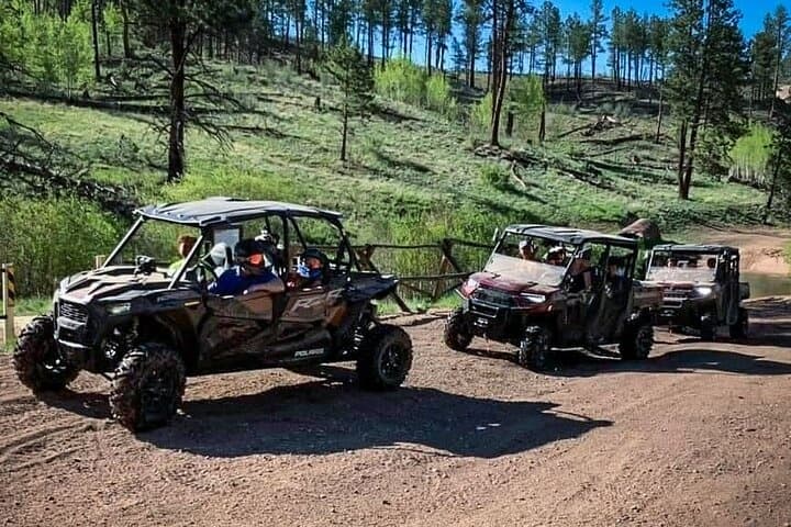 Rocky Mtn Backcountry UTV Tour | 2 Hours Guided