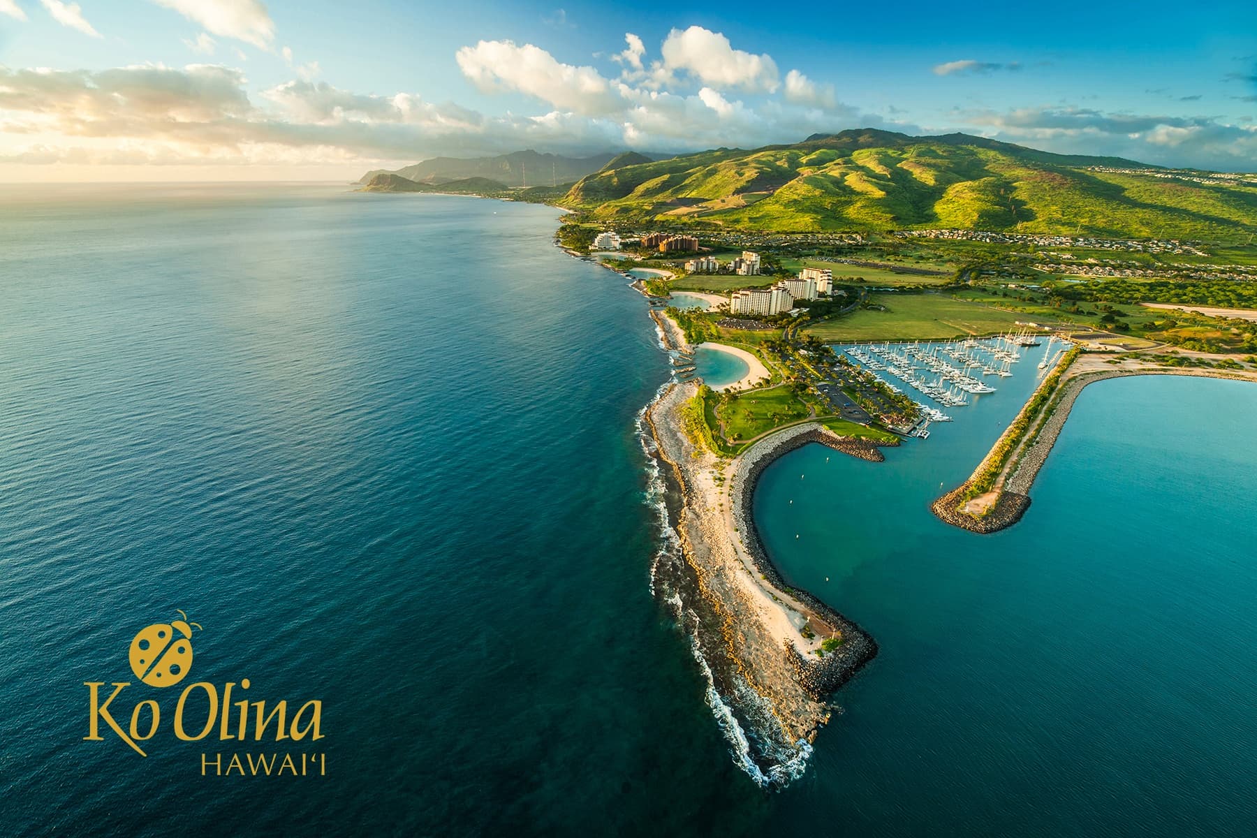 「Minivan Arrival」Honolulu Airport ⮕ KoOlina Hotels Exclusive Transfer