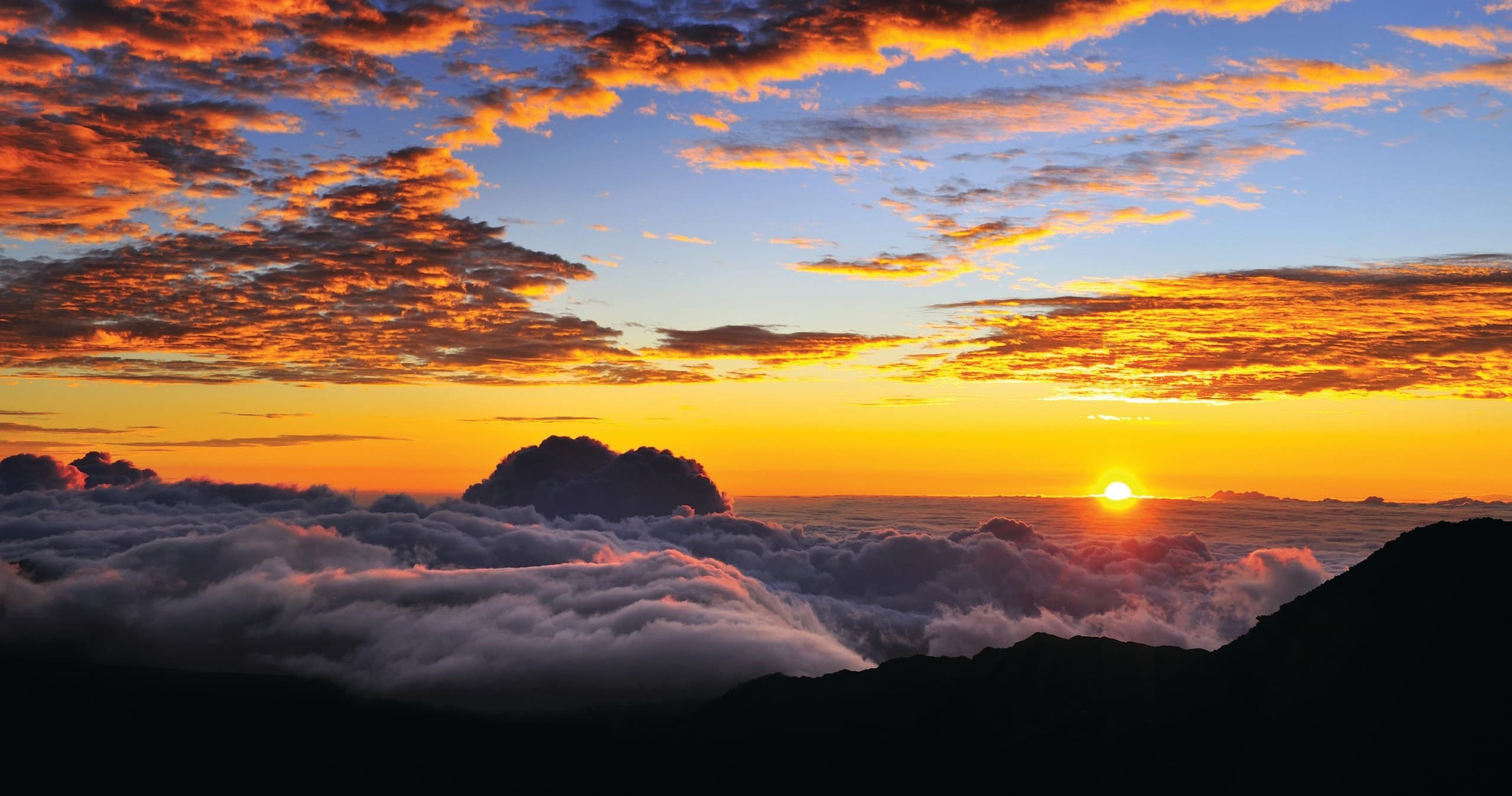 Haleakala Sunrise Tour (Breakfast Included) (M3)