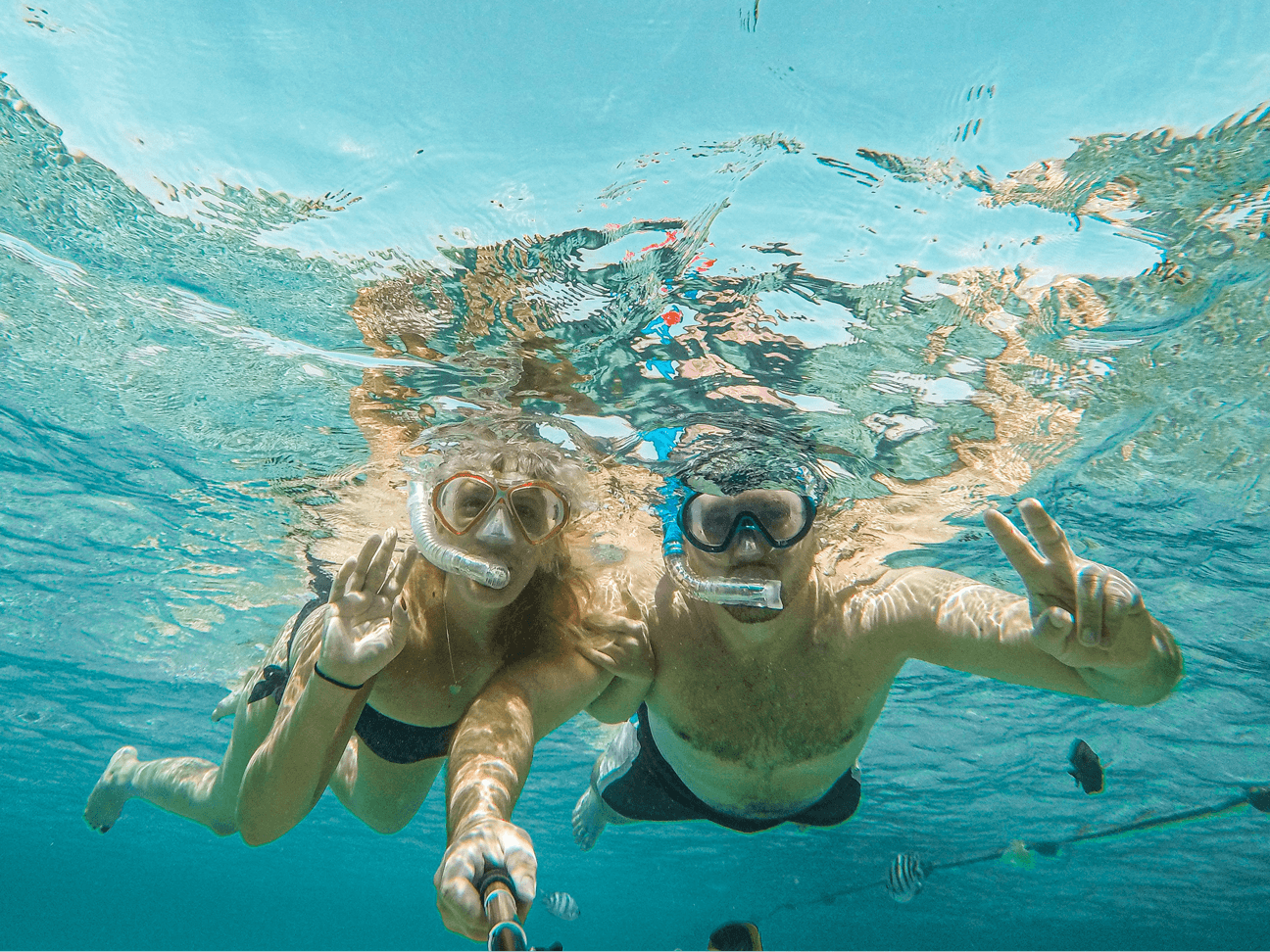 Barrier Reef Snorkel - Tarpon Creek