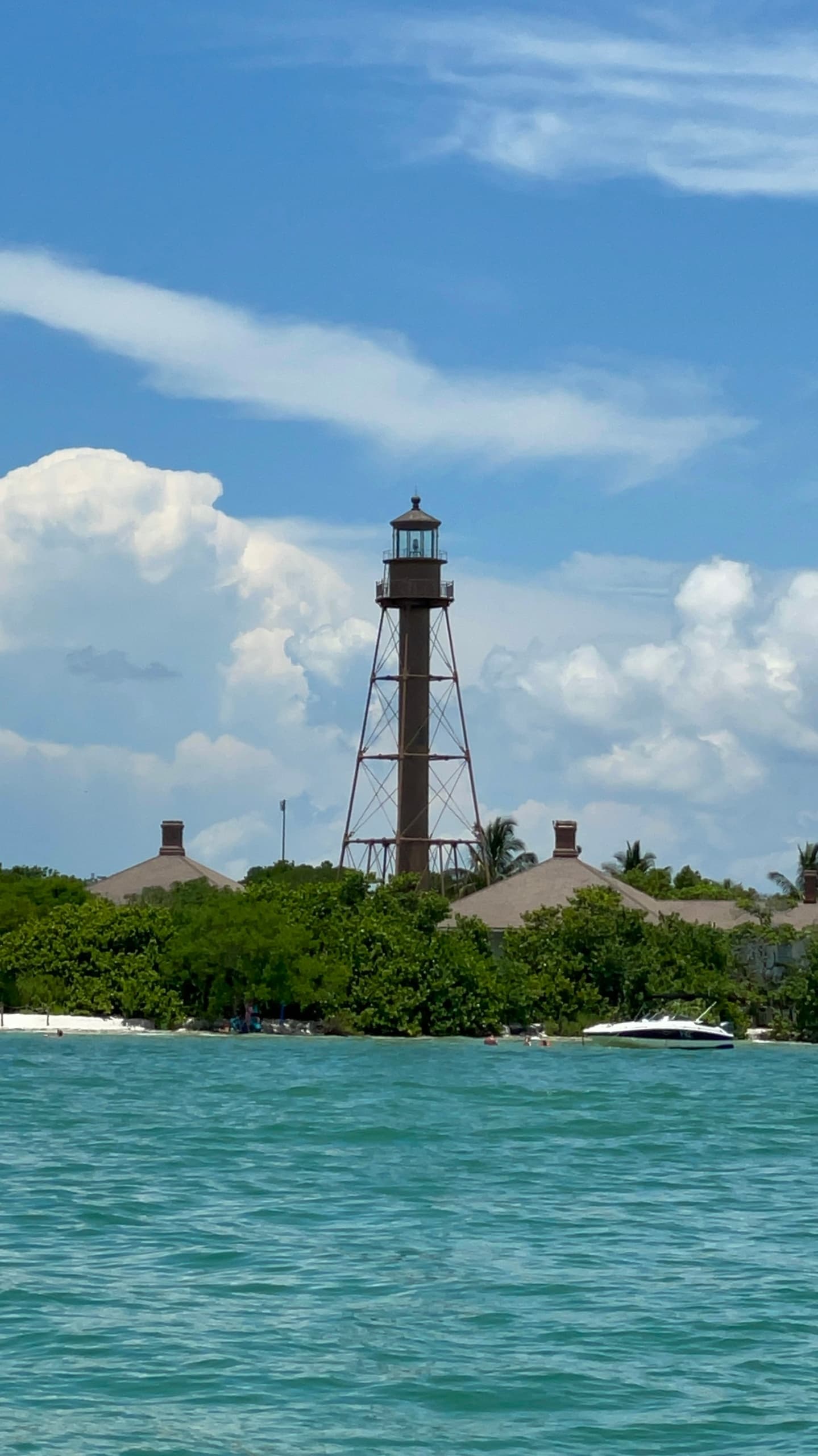 Dolphin and Sightseeing Boat Day Tour