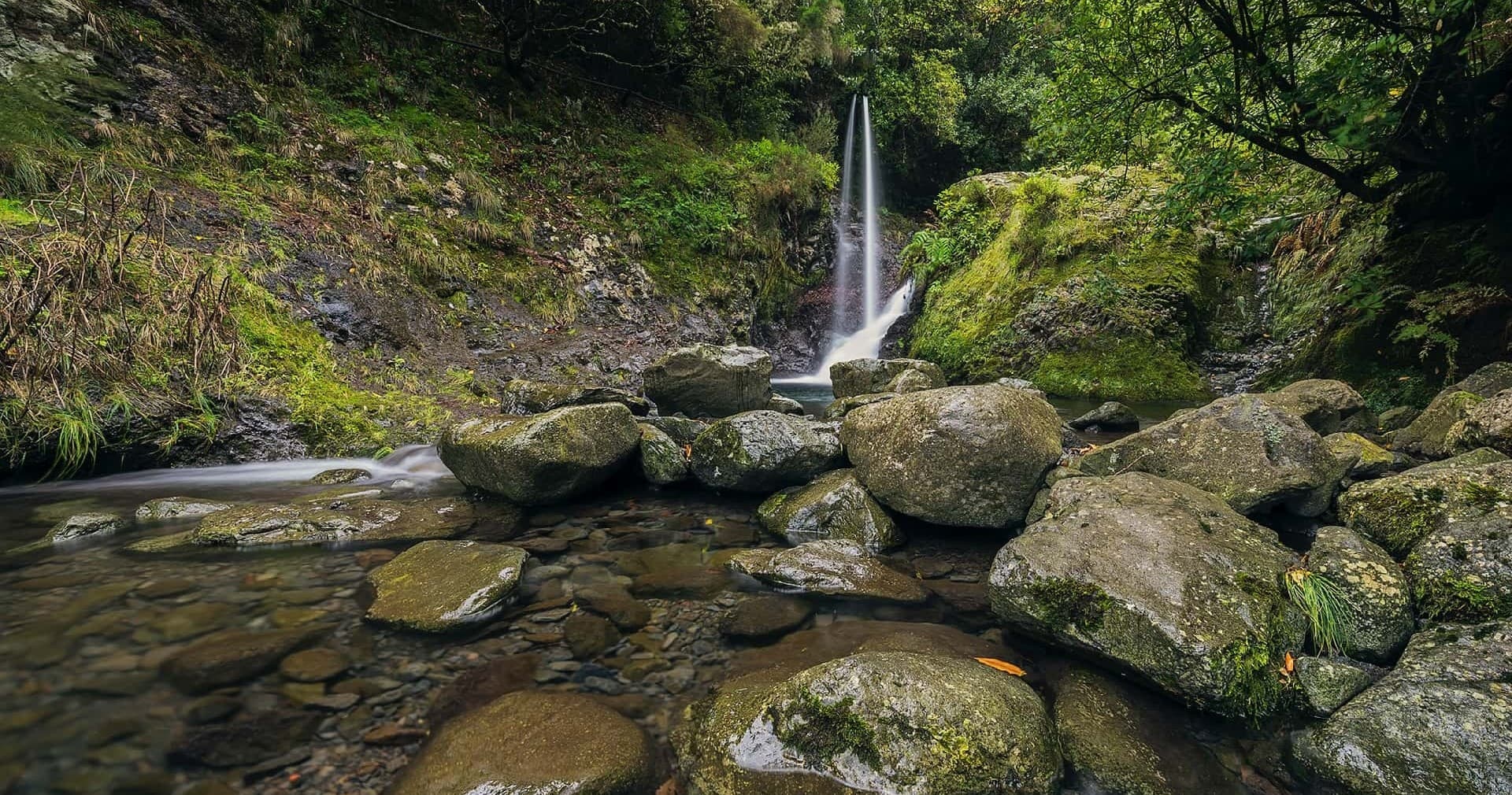 Levada Ribeiro Frio – Portela