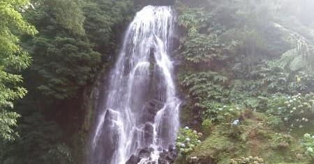 Full Day Nordeste Region & Waterfalls Tour With Lunch