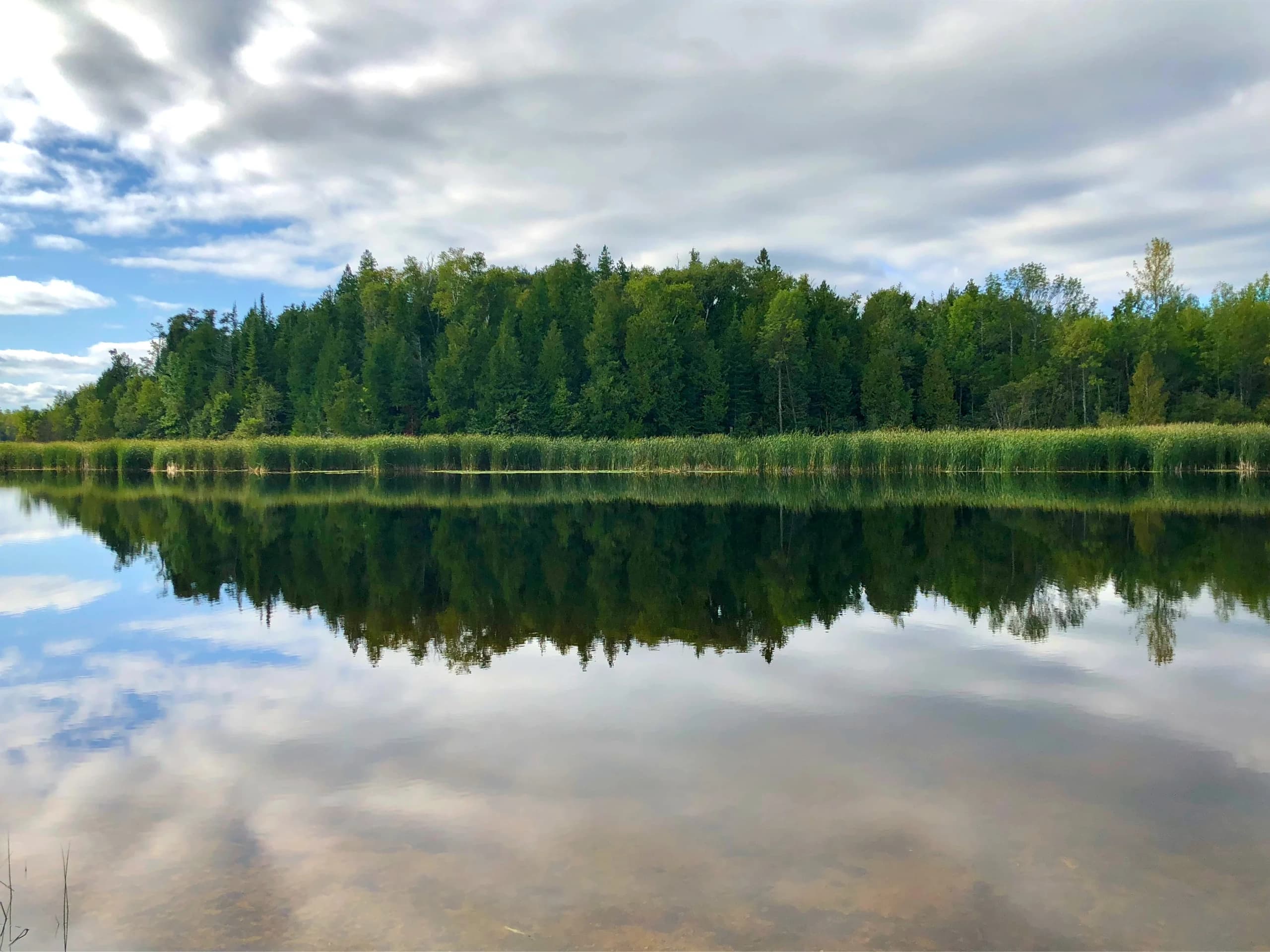 Mink River Estuary Eco-Tour