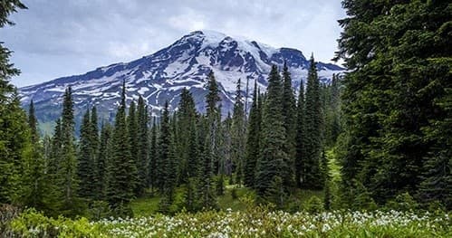 Private Mt. Rainier Tour
