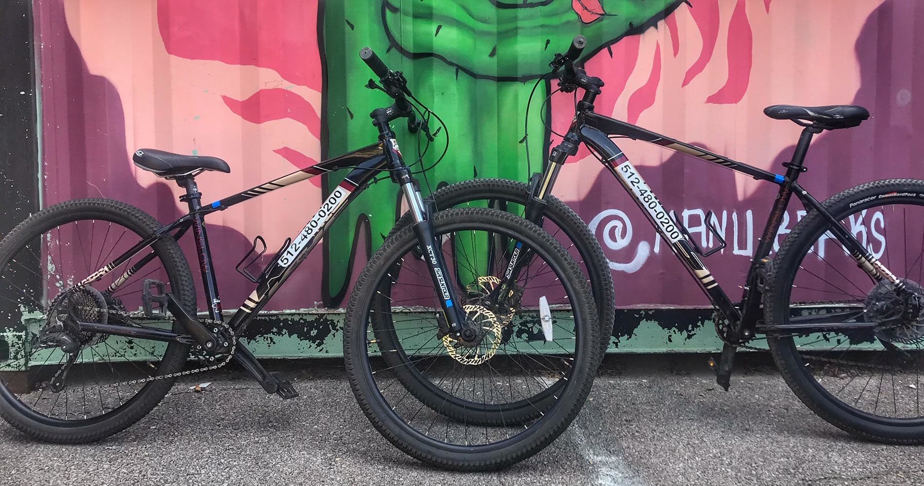 29er Hardtail Mountain Bike - Rentals