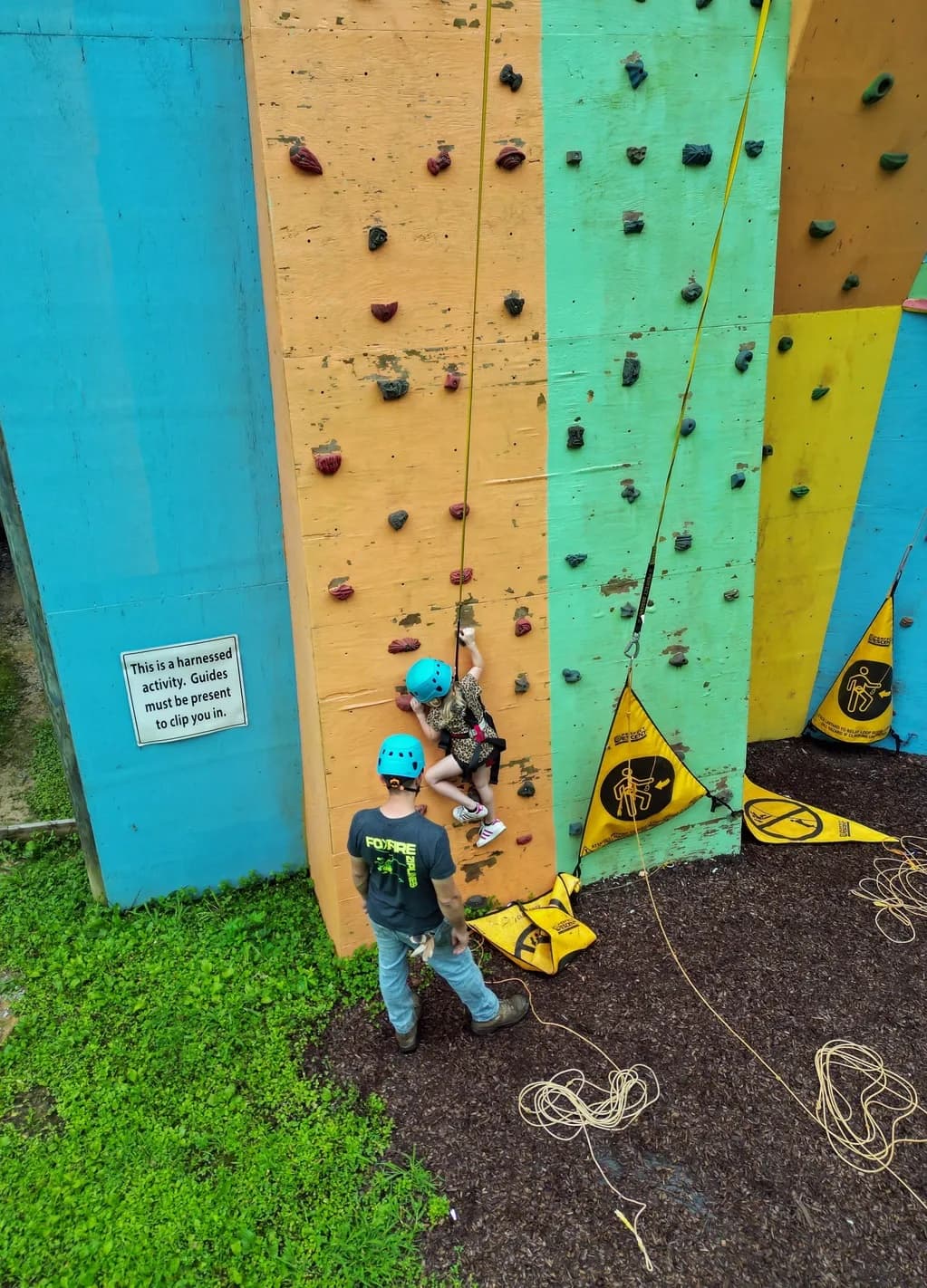 Gorilla Climbing Wall