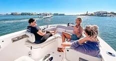 Dolphin / Harbor Tour