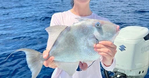 Offshore Fishing Trip 3/4 & Full Day