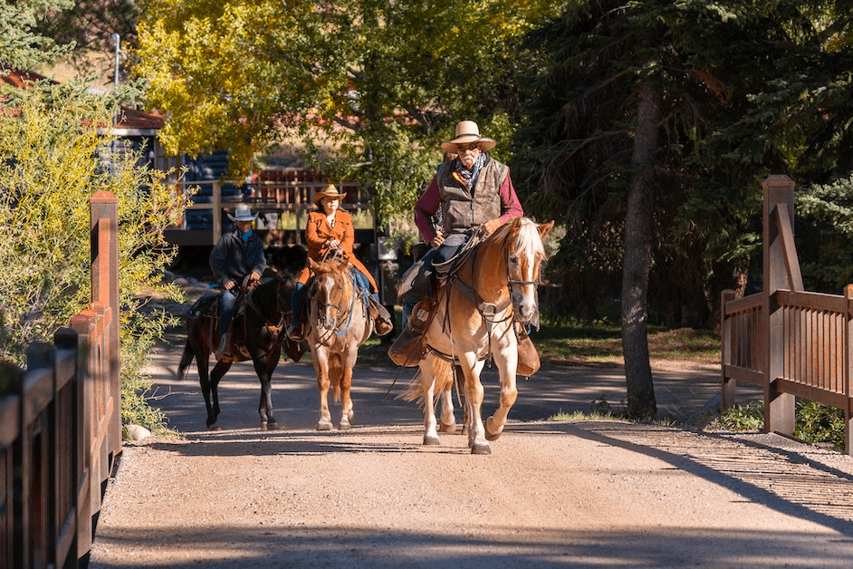 Half-Day Ride